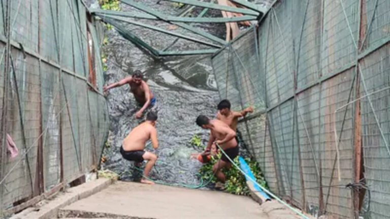 Delhi Roop Nagar Bridge Collapse: Woman Dies After Falling Into Drain