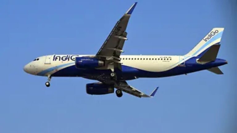Full Emergency at Delhi Airport as IndiGo Flight Makes Safe Landing After Engine Failure