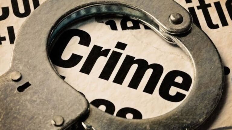 Shalimar Bagh Murder: Teen Arrested After Stabbing Youth, Boasts on Instagram