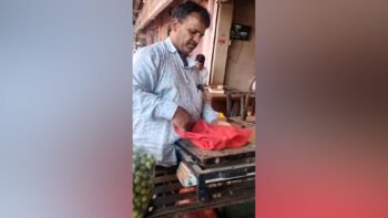 सब्जी मंडी में करंट से बंदर के बच्चे की मौत, शानू ने CPR देकर बचाने की कोशिश की